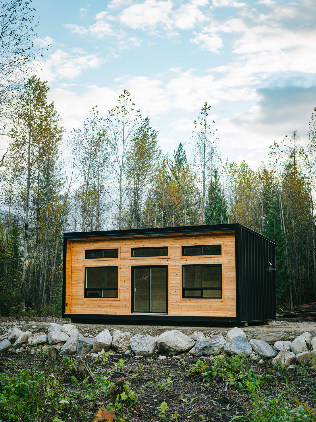 MODERN Cabin